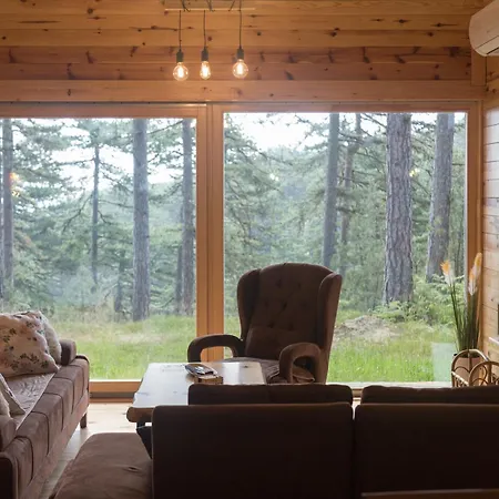 Lodge Crni Bor 1 Tara *